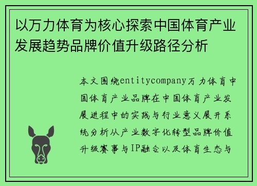 以万力体育为核心探索中国体育产业发展趋势品牌价值升级路径分析
